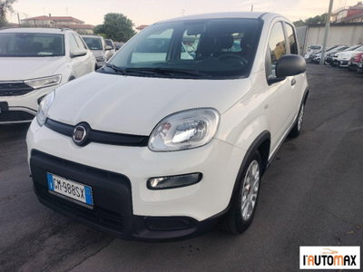 Fiat Panda 1.0 firefly hybrid s&s 70cv 5p.ti usata