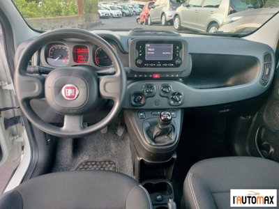 Fiat Panda 1.0 firefly hybrid s&s 70cv 5p.ti (9)