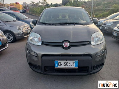 Fiat Panda 1.0 firefly hybrid s&s 70cv 5p.ti (2)