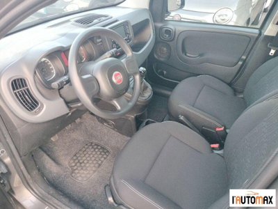 Fiat Panda 1.0 firefly hybrid s&s 70cv 5p.ti (6)