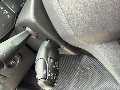 Citroen C3 BlueHDi 100 S&S You (15)