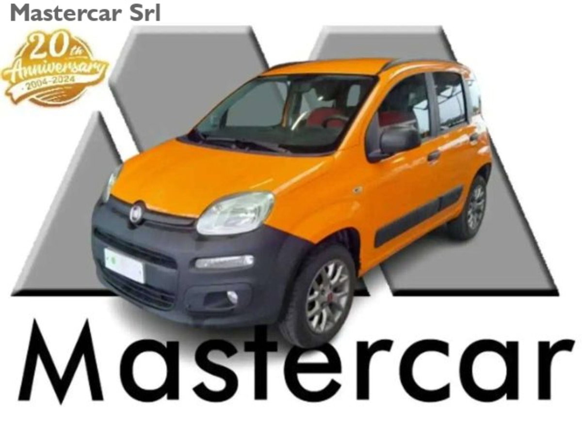 Fiat Panda 1.3 MJT 4x4 Pop Van 2 posti