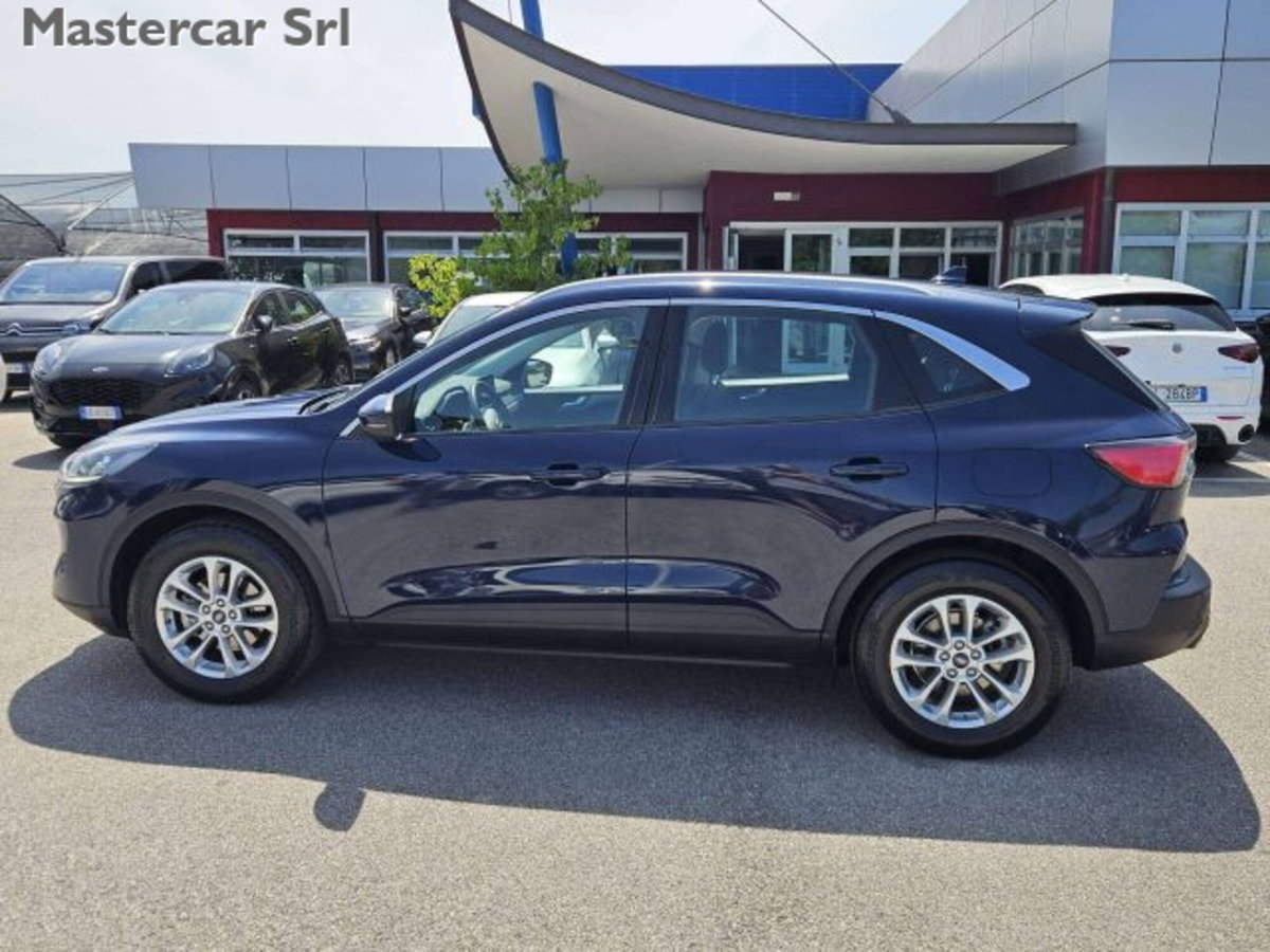 Ford Kuga 2.0 EcoBlue Hybrid 150 CV 2WD Titanium (4)