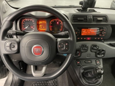 Fiat Panda 1.0 firefly hybrid s&s 70cv 5p.ti (2)