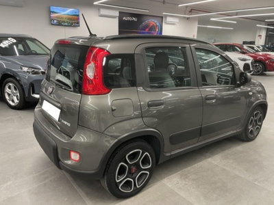 Fiat Panda 1.0 firefly hybrid s&s 70cv 5p.ti (4)