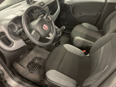 Fiat Panda 1.0 firefly hybrid s&s 70cv 5p.ti (8)