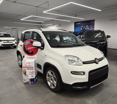 Fiat Panda 1.0 firefly hybrid s&s 70cv 5p.ti usata