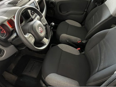 Fiat Panda 1.0 firefly hybrid s&s 70cv 5p.ti (7)