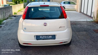 Fiat Punto 1.2 8V 5 porte Lounge (5)