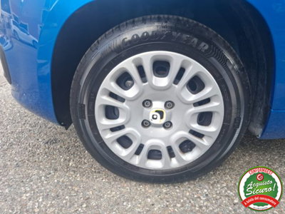 Fiat Panda 1.0 firefly hybrid s&s 70cv 5p.ti (8)