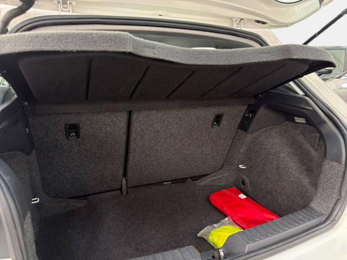 SEAT Ibiza 1.6 TDI 80 CV 5 porte Reference (14)