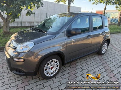 Fiat Panda 1.0 firefly hybrid s&s 70cv 5p.ti usata