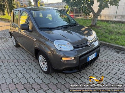Fiat Panda 1.0 firefly hybrid s&s 70cv 5p.ti (2)