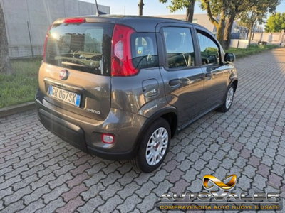 Fiat Panda 1.0 firefly hybrid s&s 70cv 5p.ti (3)