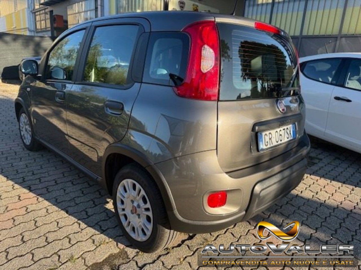 Fiat Panda 1.0 firefly hybrid s&s 70cv 5p.ti (4)