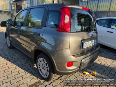 Fiat Panda 1.0 firefly hybrid s&s 70cv 5p.ti (4)