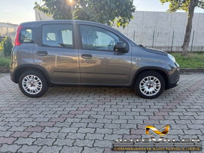 Fiat Panda 1.0 firefly hybrid s&s 70cv 5p.ti (5)
