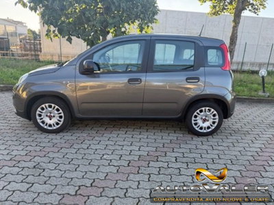 Fiat Panda 1.0 firefly hybrid s&s 70cv 5p.ti (6)