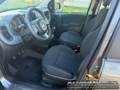 Fiat Panda 1.0 firefly hybrid s&s 70cv 5p.ti (9)