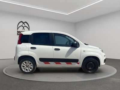 Fiat Panda van 0.9 Pop 85cv 4x4 2p.ti serie 4 E6d (4)