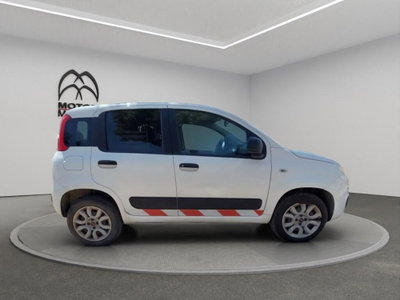 Fiat Panda van 0.9 Pop 85cv 4x4 2p.ti serie 4 E6d (4)