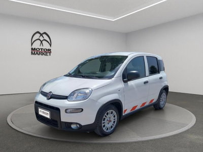 Fiat Panda van 1.0 hybrid Pop 70cv 2p.ti serie 4 E6d usato