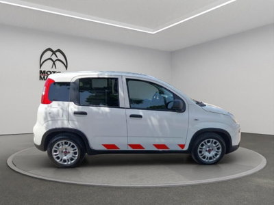Fiat Panda van 1.0 hybrid Pop 70cv 2p.ti serie 4 E6d (4)