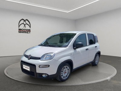 Fiat Panda van 1.0 hybrid Pop 70cv 2p.ti serie 4 E6d usato