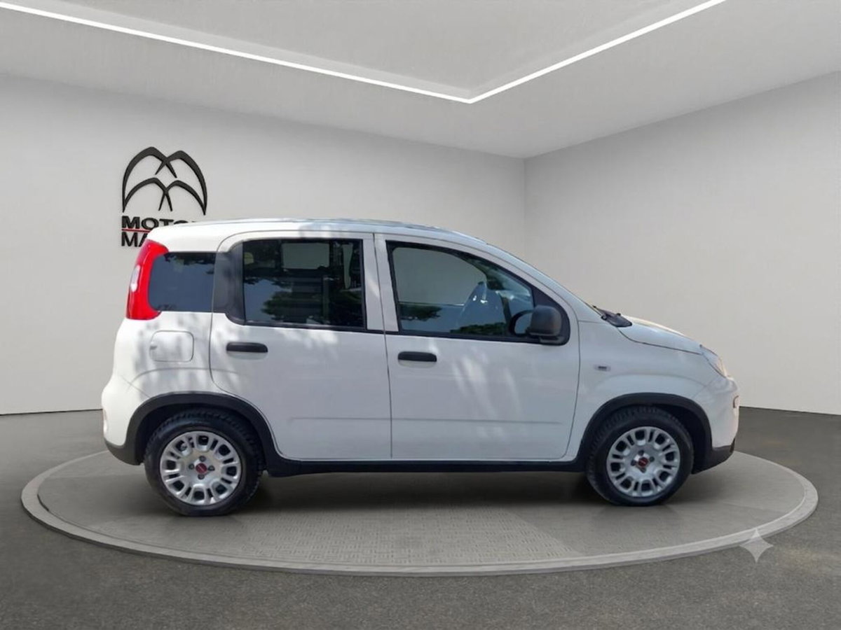 Fiat Panda van 1.0 hybrid Pop 70cv 2p.ti serie 4 E6d (4)