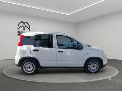 Fiat Panda van 1.0 hybrid Pop 70cv 2p.ti serie 4 E6d (4)