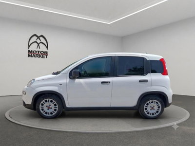 Fiat Panda van 1.0 hybrid Pop 70cv 2p.ti serie 4 E6d (5)
