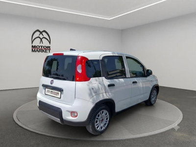 Fiat Panda van 1.0 hybrid Pop 70cv 2p.ti serie 4 E6d (7)