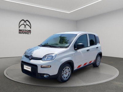Fiat Panda van 1.0 hybrid 70cv 2p.ti serie 6 usato
