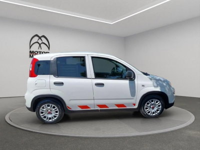 Fiat Panda van 1.0 hybrid 70cv 2p.ti serie 6 (4)
