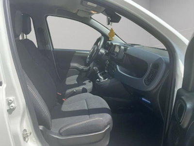 Fiat Panda van 1.0 hybrid 70cv 2p.ti serie 6 (12)