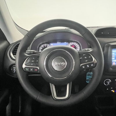 Jeep Renegade 1.5 Turbo T4 MHEV Limited (13)