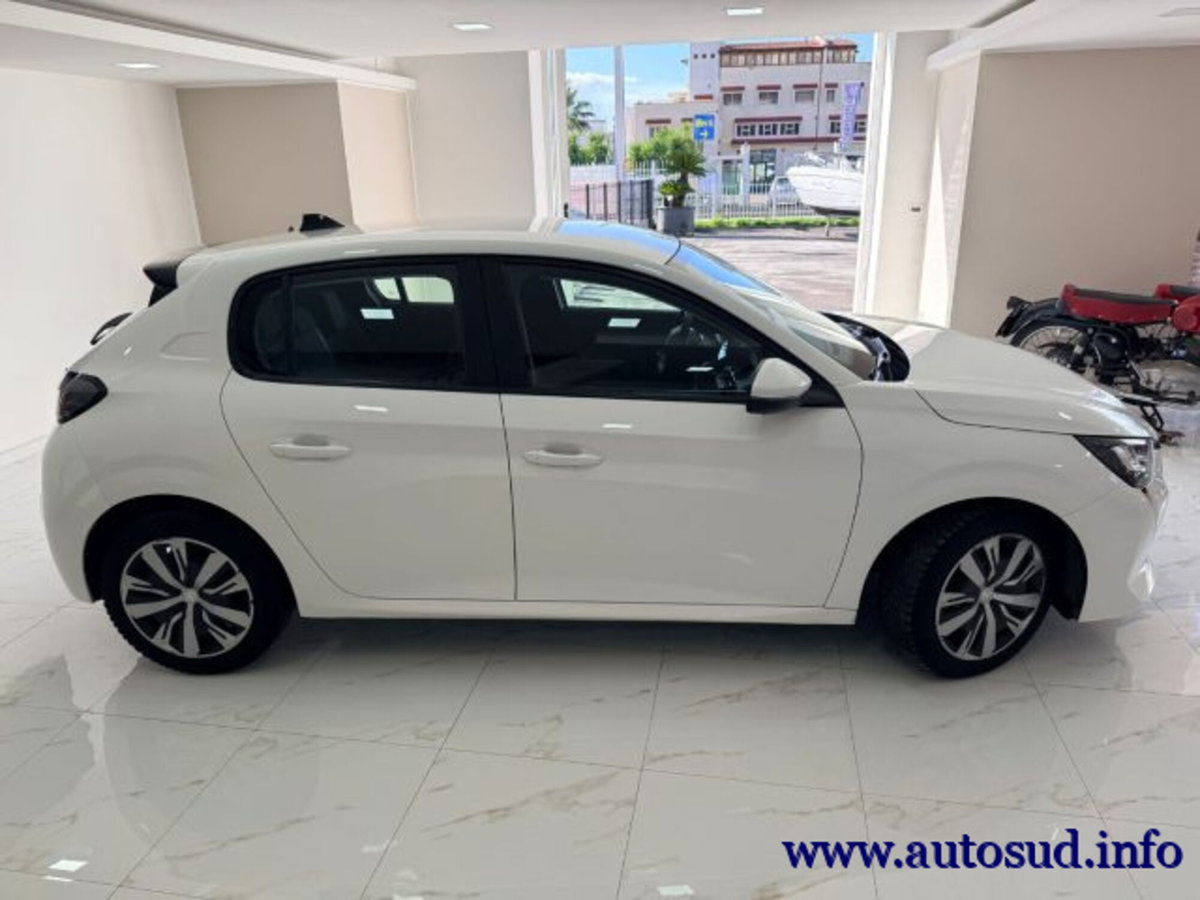 Peugeot 208 BlueHDi 100 Stop&Start 5 porte Active (7)