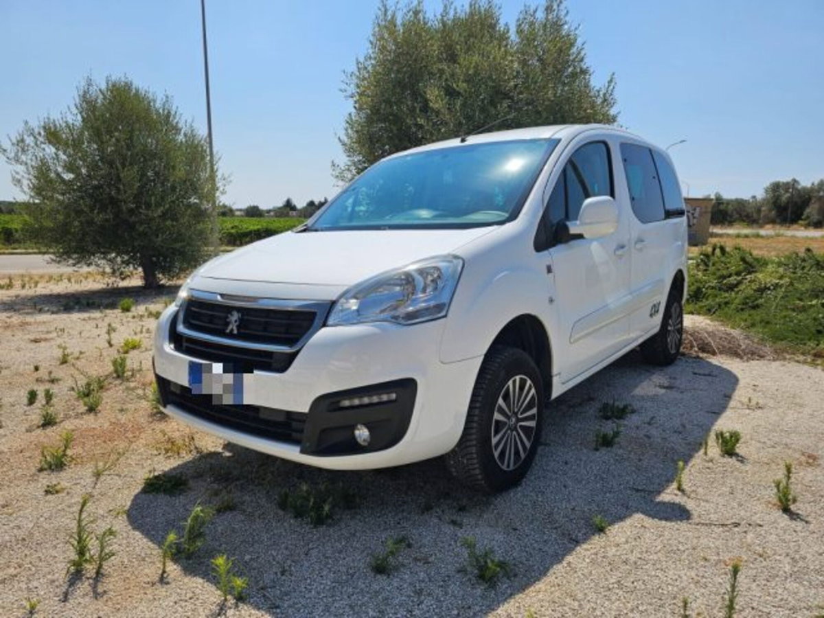 Peugeot Partner BlueHDi 100 4x4 Active Traction Control