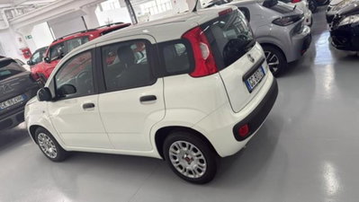 Fiat Panda 1.0 firefly hybrid s&s 70cv (2)