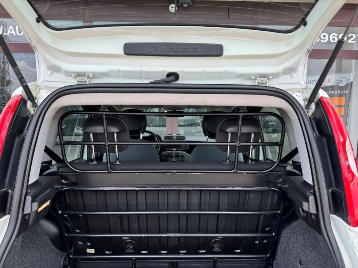 Fiat Panda 1.3 MJT S&S Easy Van 4 posti (10)