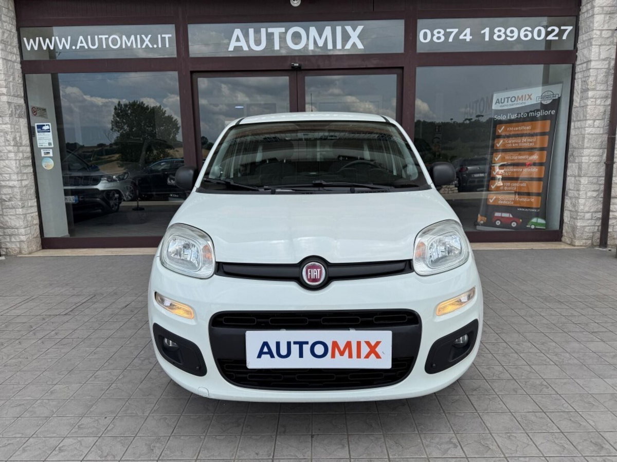 Fiat Panda 1.3 MJT S&S Easy Van 4 posti (2)