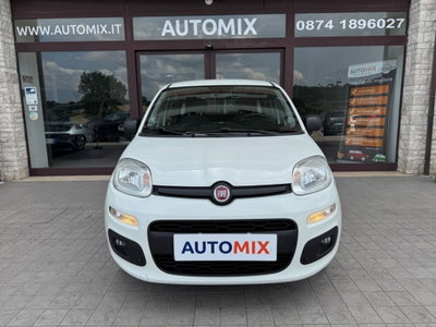 Fiat Panda 1.3 MJT S&S Easy Van 4 posti (2)