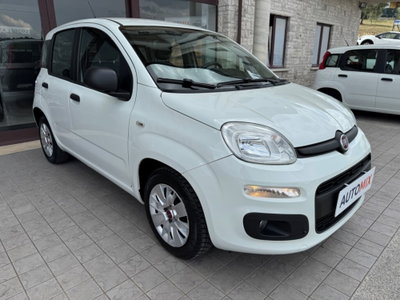 Fiat Panda 1.3 MJT S&S Easy Van 4 posti (3)