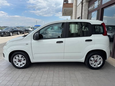 Fiat Panda 1.3 MJT S&S Easy Van 4 posti (5)