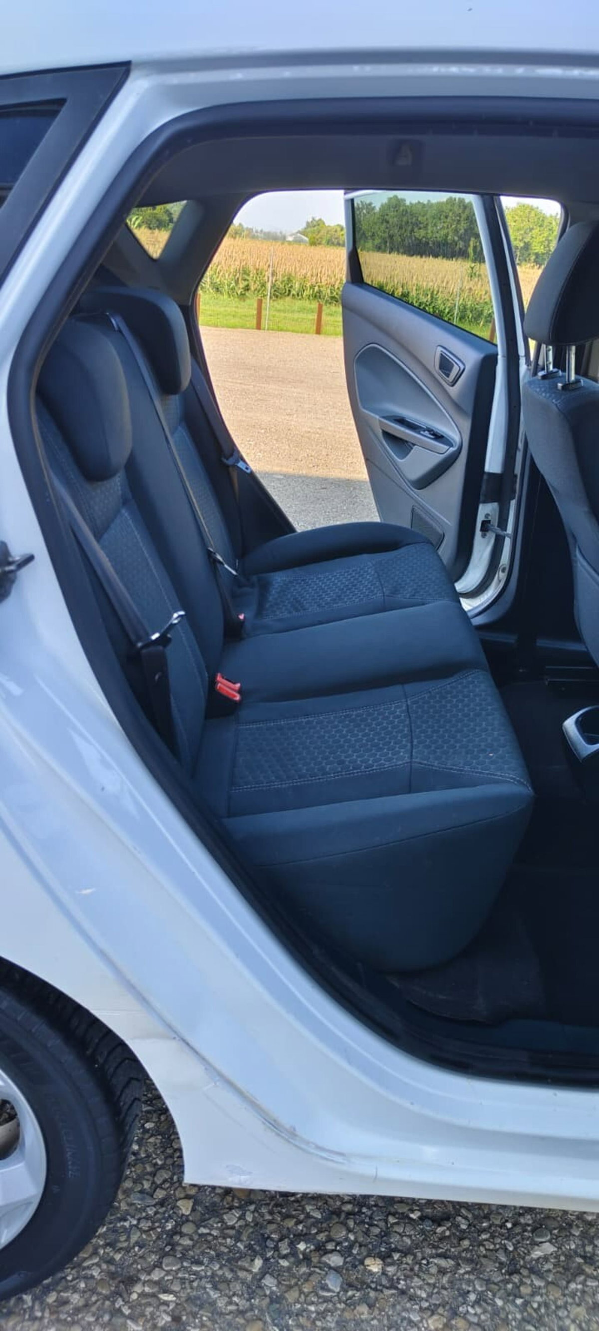Ford Fiesta 1.4 TDCi 68CV 5 porte Titanium (7)