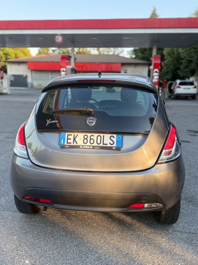 Lancia Ypsilon 1.2 69 CV 5 porte Platinum (5)