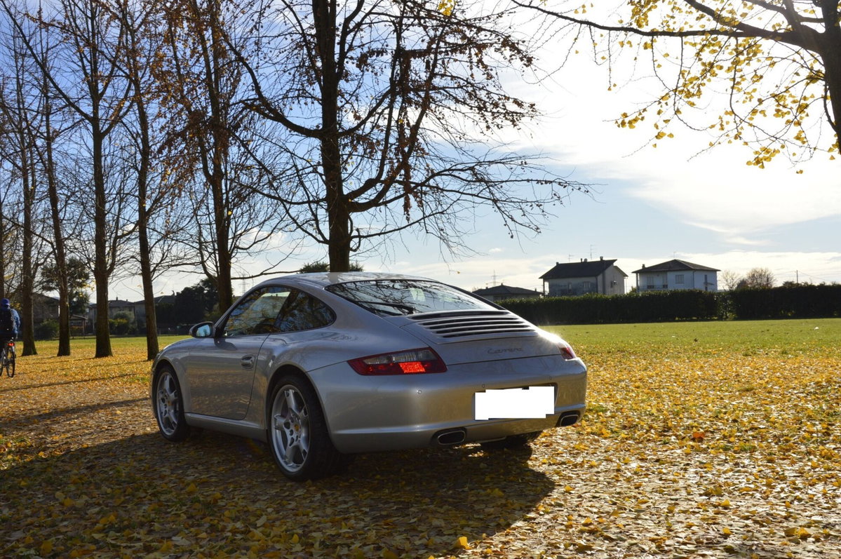 Porsche 911 Coupé Carrera cat (3)