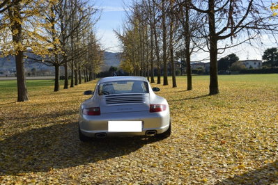 Porsche 911 Coupé Carrera cat (4)