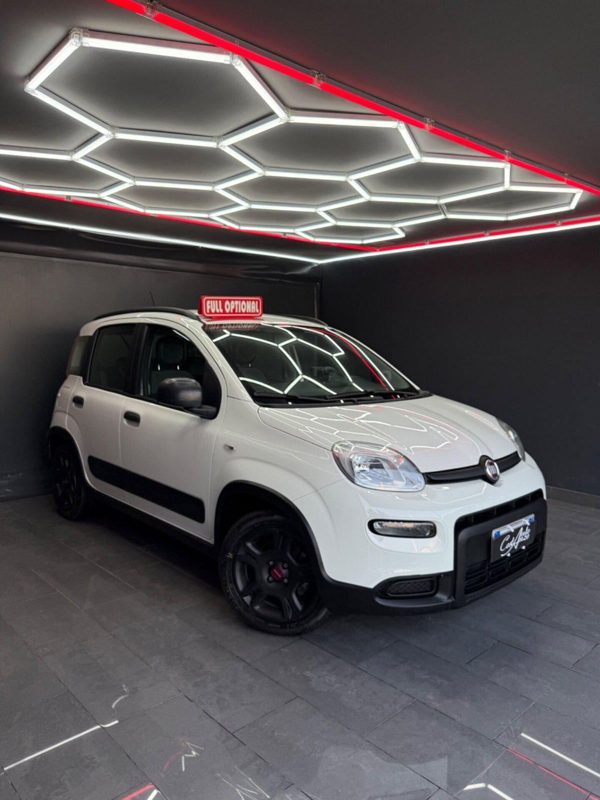 Fiat Panda 1.0 FireFly S&S Hybrid City Cross (2)