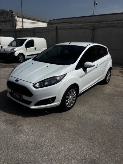 Ford Fiesta 1.4 5 porte Bz.- GPL Business N1 (2)